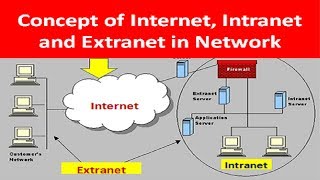 What is Internet INTRANET and ExtraNET in Network [upl. by Will]