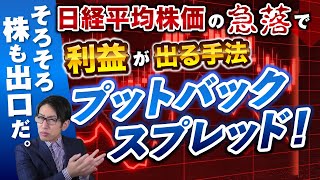 株式市場が急落した時に役に立つ！日経225プットオプションについて解説。 [upl. by Shaina106]