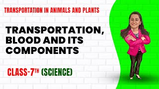 Transportation in Animals and Plants Part 1 Class 7th Science  Junoon pro [upl. by Atnovart]