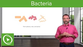 Bacteria Structure amp Types – Microbiology  Lecturio [upl. by Klayman]