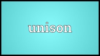 Unison Meaning [upl. by Eerdna125]