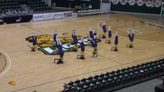 LSU Tiger Girls Nationals HipHop Dance  2010 [upl. by Burrton]