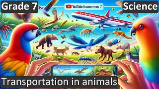 Grade 7  Science  Transportation in animals  Free Tutorial  CBSE  ICSE  State Board [upl. by Laine]