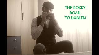 HARMONICA Irish  The Rocky Road To Dublin slip jig [upl. by Muhammad]