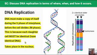 The Cell Cycle amp DNA Replication Video 8 in 24 Series [upl. by Ammadis]