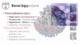 Influenza Epidemiology and Viral Structure [upl. by Shiau]