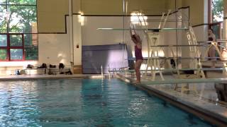 Teach a Flip for Springboard Diving [upl. by Cranford]