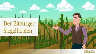 Bitburger erklärt Der Bitburger Siegelhopfen [upl. by Merritt]