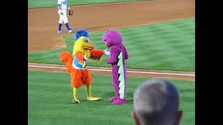 Famous Chicken battles Barney in a danceoff [upl. by Ainnek]