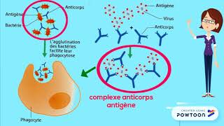 Réaction immunitaire spécifique [upl. by Gadmon]