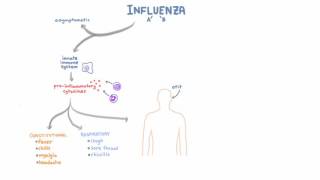 Influenza Infection  Clinical Symptoms and Presentation [upl. by Dihahs674]