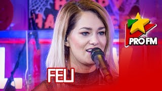 FELI  Frunze cad  ProFM LIVE Session [upl. by Auhsohey166]