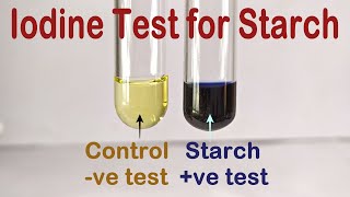 Iodine Test For Starch Practical Experiment [upl. by Llebpmac]