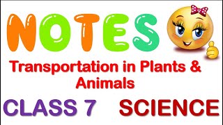 Transportation in Plants amp Animals Full Chapter Class 7  NCERT Science Class 7 Chapter 11  CBSE [upl. by Nayrbo21]