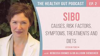 SIBO causes risk factors symptoms treatments and diets with Dr Allison Siebecker  Ep 2 [upl. by Undry]