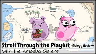 Stroll Through the Playlist a Biology Review [upl. by Michale]