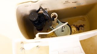 How to Change a Toilet Flapper Fix Running Toilet [upl. by Saitam264]