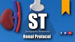 Renal Ultrasound Protocol [upl. by Delphina]