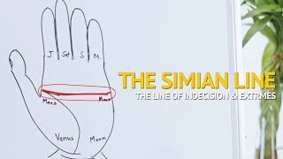 Palmistry  Understanding the SIMIAN line Indecisive amp Extreme Personality [upl. by Allenaj]