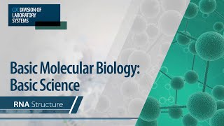 Basic Molecular Biology Basic Science – RNA Structure [upl. by Ilarin664]