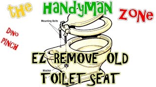 EASLY REMOVE OLD TOILET SEAT  RUSTED  ROUNDED NUTS [upl. by Abekam]