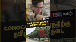 Conocarpus மரத்திற்கு தமிழ்நாட்டில் தடை [upl. by Olinde64]