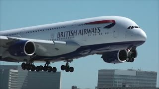 Busy Day Planespotting at Los Angeles International Airport LAX  55 Minutes Long [upl. by Kuebbing]