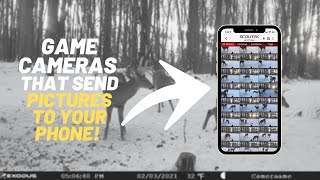 Understanding Game Cameras That Send Pictures to Your Phone [upl. by Irot967]