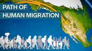 Map Shows How Humans Migrated Across The Globe [upl. by Perusse910]