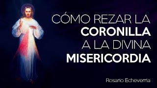 Cómo rezar la Coronilla a la Divina Misericordia [upl. by Skipper]