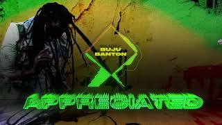 Buju Banton  Appreciated Official Audio  Upside Down 2020 [upl. by Assenaj146]