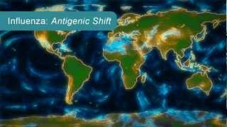 How Influenza Pandemics Occur [upl. by Hart593]