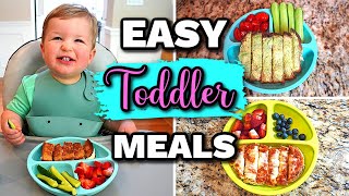 Baby experts share tips on how to successfully feed fussy eaters l GMA [upl. by Stephanie]