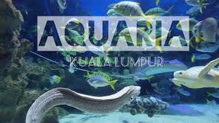 Aquaria KLCC  Malaysia [upl. by Minerva]