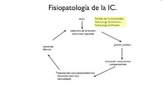 Cardiología Insuficiencia cardiaca quotizquierda y derechaquot [upl. by Siuqram580]