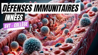 Les défenses immunitaires innées SVT Collège [upl. by Eceinej]