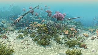 Great Ordovician Biodiversification Event [upl. by Relyk]