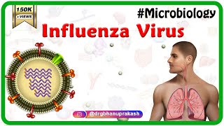 Influenza Virus Microbiology Animation [upl. by Donnie908]