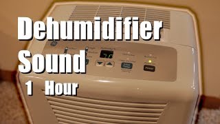 Dehumidifier Sound 1 Hour White Noise [upl. by Etolas]