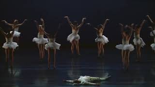 LE LAC DES CYGNES  BALLET PRELJOCAJ 2020 [upl. by Adnorhs]