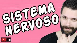 SISTEMA NERVOSO  FISIOLOGIA  Aula  Biologia com Samuel Cunha [upl. by Stilwell448]