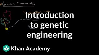 Introduction to genetic engineering  Molecular genetics  High school biology  Khan Academy [upl. by Dinesh555]