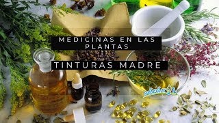 Plantas medicinales tinturas madres [upl. by Arbe419]