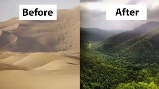 How China Turned the Desert into Green Forests [upl. by Namsu585]