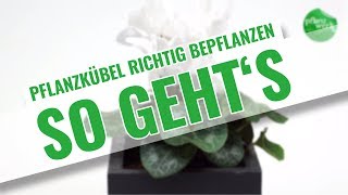 Pflanzkübel richtig bepflanzen  Die richtige Drainage So geht´s [upl. by Netnilc]