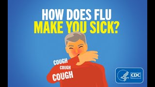 How Does Flu Make You Sick [upl. by Dde]