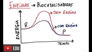 Proteínas  Enzimas [upl. by Alyakcim855]