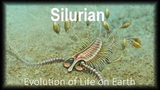 The Evolution of Life part 4  Silurian [upl. by Abad556]