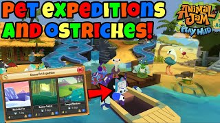 Ostriches And Pet Expedition In AJ Play Wild [upl. by Aracaj]