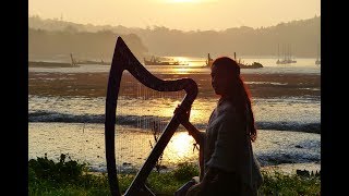 Inisheer  Irish ballad  Celtic harp amp low whistle [upl. by Steffin]